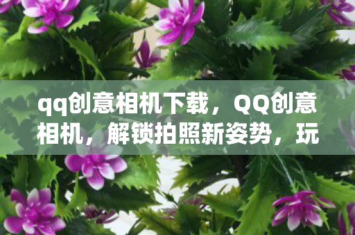 qq创意相机下载，QQ创意相机，解锁拍照新姿势，玩转个性与创意