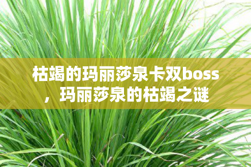 枯竭的玛丽莎泉卡双boss，玛丽莎泉的枯竭之谜