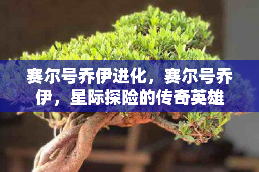 赛尔号乔伊进化，赛尔号乔伊，星际探险的传奇英雄