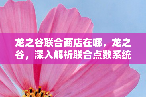 龙之谷联合商店在哪，龙之谷，深入解析联合点数系统