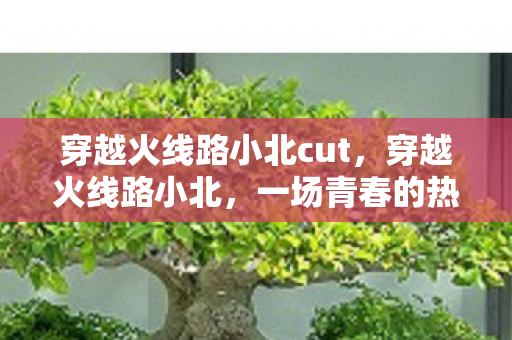 穿越火线路小北cut,穿越火线路小北,一场青春的热血之旅 穿越火线路小北cut,穿越火线路小北,一场青春的热血之旅