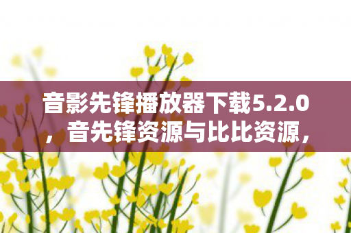 音影先锋播放器下载5.2.0，音先锋资源与比比资源，探索音乐与娱乐的新世界