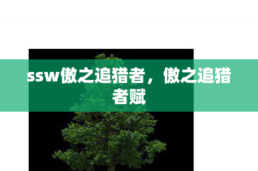 ssw傲之追猎者，傲之追猎者赋