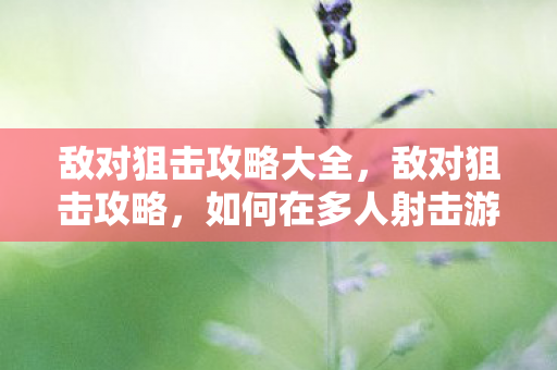 如何在多人射击游戏中成为顶尖狙击手图片