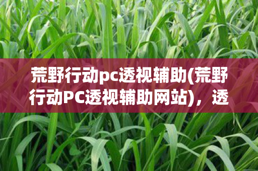 荒野行动pc透视辅助(荒野行动PC透视辅助网站)，透视荒野行动PC，解锁游戏新视角