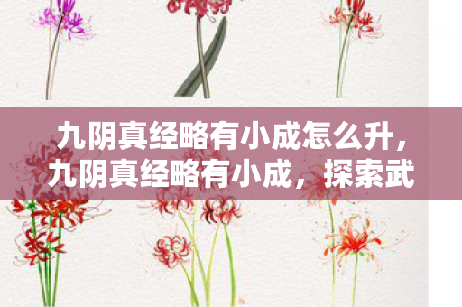 九阴真经略有小成怎么升，九阴真经略有小成，探索武侠世界的奥秘