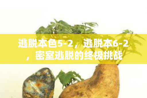 逃脱本色5-2,逃脱本6-2,密室逃脱的终极挑战 逃脱本色5-2,逃脱本6-2,密室逃脱的终极挑战