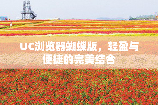 UC浏览器蝴蝶版，轻盈与便捷的完美结合