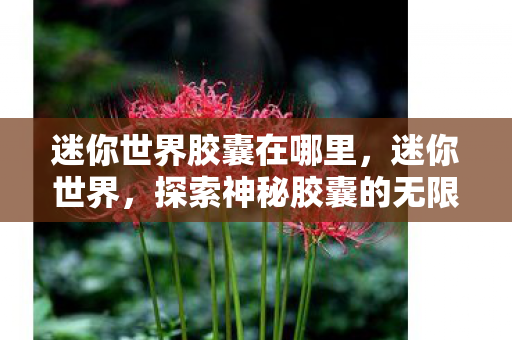 迷你世界胶囊在哪里，迷你世界，探索神秘胶囊的无限可能