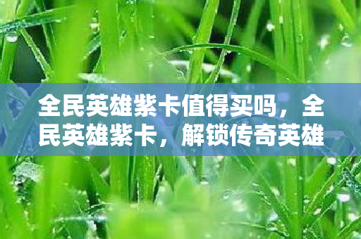 全民英雄紫卡值得买吗，全民英雄紫卡，解锁传奇英雄的新篇章