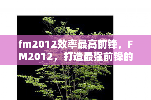 fm2012效率最高前锋，FM2012，打造最强前锋的秘籍