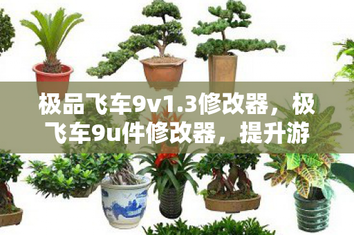 极品飞车9v1.3修改器,极飞车9u件修改器,提升游戏体验的神奇工具 极品飞车9v1.3修改器,极飞车9u件修改器,提升游戏体验的神奇工具