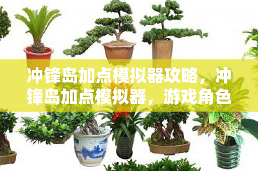 冲锋岛加点模拟器攻略，冲锋岛加点模拟器，游戏角色属性提升的关键策略