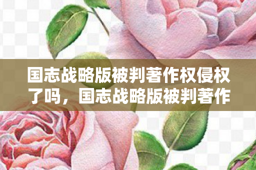 国志战略版被判著作权侵权了吗，国志战略版被判著作权侵权，版权保护的重要性与影响