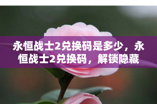 永恒战士2兑换码是多少，永恒战士2兑换码，解锁隐藏福利的秘籍