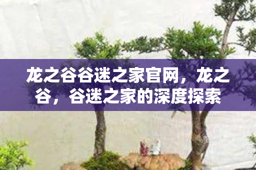 龙之谷谷迷之家官网，龙之谷，谷迷之家的深度探索