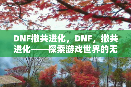 DNF撒共进化,DNF,撒共进化——探索游戏世界的无限可能 DNF撒共进化,DNF,撒共进化——探索游戏世界的无限可能