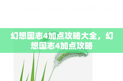 幻想国志4加点攻略大全，幻想国志4加点攻略