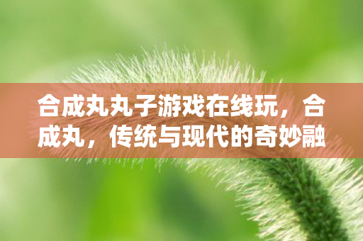合成丸丸子游戏在线玩，合成丸，传统与现代的奇妙融合