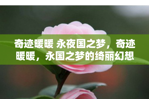 奇迹暖暖 永夜国之梦,奇迹暖暖,永国之梦的绮丽幻想 奇迹暖暖 永夜国之梦,奇迹暖暖,永国之梦的绮丽幻想