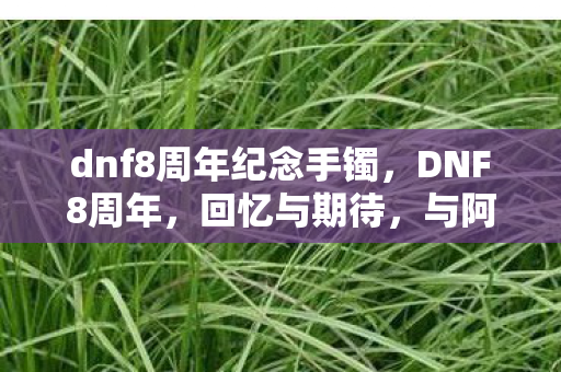 dnf8周年纪念手镯，DNF8周年，回忆与期待，与阿拉德大陆共成长