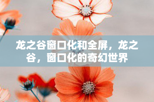 龙之谷窗口化和全屏，龙之谷，窗口化的奇幻世界