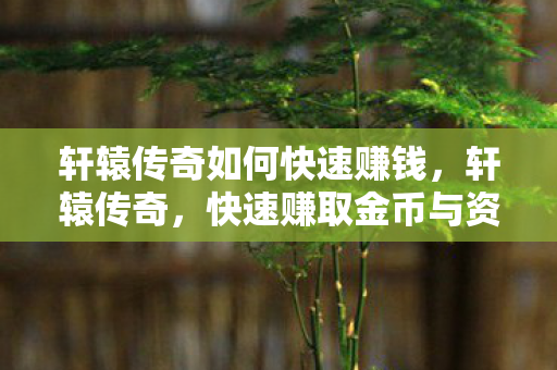 轩辕传奇如何快速赚钱，轩辕传奇，快速赚取金币与资源的策略指南