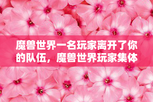 魔兽世界一名玩家离开了你的队伍，魔兽世界玩家集体告别，一段传奇的落幕