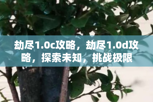 劫尽1.0c攻略，劫尽1.0d攻略，探索未知，挑战极限