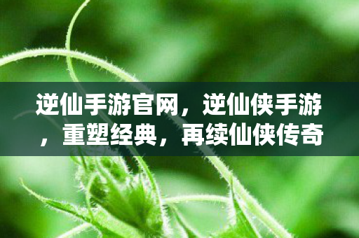 逆仙手游官网，逆仙侠手游，重塑经典，再续仙侠传奇