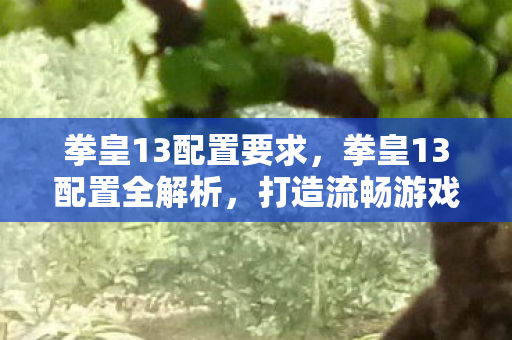 拳皇13配置要求，拳皇13配置全解析，打造流畅游戏体验