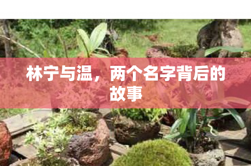 林宁与温，两个名字背后的故事