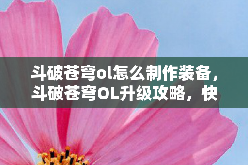 斗破苍穹ol怎么制作装备，斗破苍穹OL升级攻略，快速提升实力，征服斗气大陆
