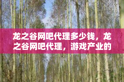 龙之谷网吧代理多少钱，龙之谷网吧代理，游戏产业的共赢之路