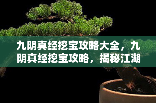 九阴真经挖宝攻略大全，九阴真经挖宝攻略，揭秘江湖中的宝藏秘密