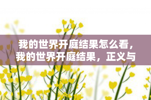 我的世界开庭结果怎么看，我的世界开庭结果，正义与创新的较量