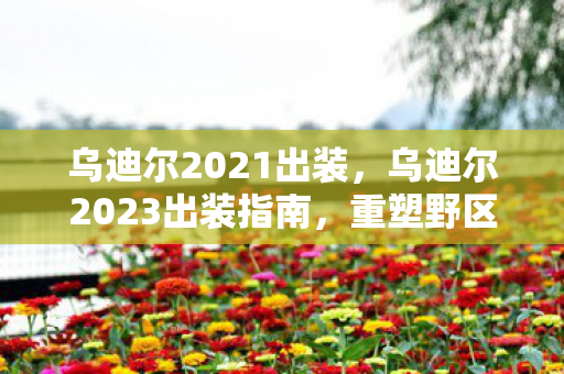 乌迪尔2021出装，乌迪尔2023出装指南，重塑野区霸主地位