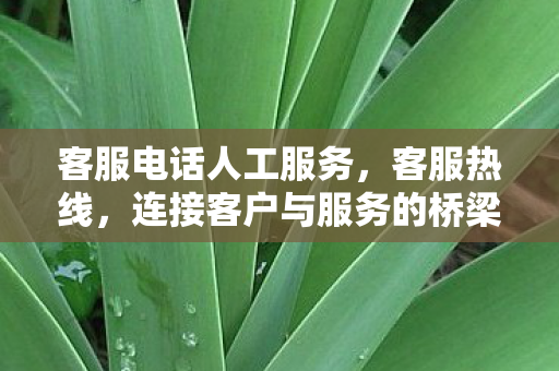 客服电话人工服务，客服热线，连接客户与服务的桥梁