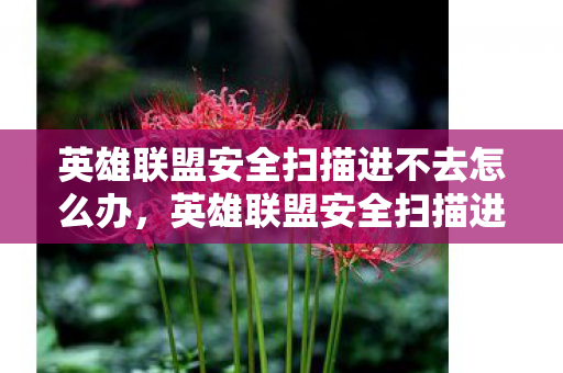 英雄联盟安全扫描进不去怎么办，英雄联盟安全扫描进不去怎么办？