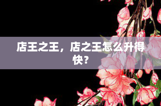 店王之王，店之王怎么升得快？