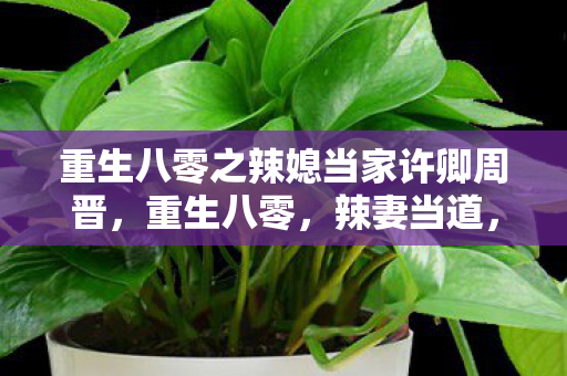 重生八零之辣媳当家许卿周晋,重生八零,辣妻当道,许卿与周晋南的甜蜜逆袭 重生八零之辣媳当家许卿周晋,重生八零,辣妻当道,许卿与周晋南的甜蜜逆袭