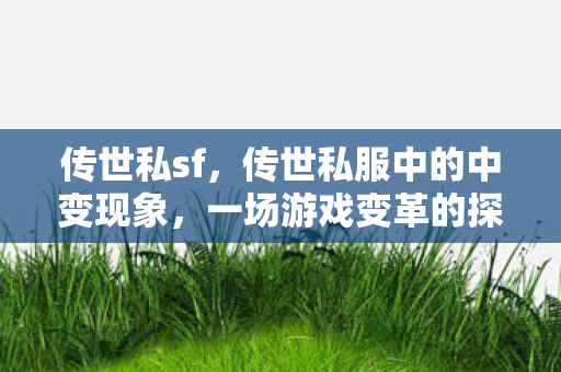 传世私sf，传世私服中的中变现象，一场游戏变革的探讨