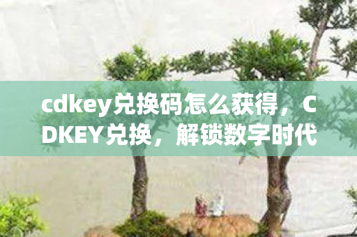 cdkey兑换码怎么获得,CDKEY兑换,解锁数字时代的新钥匙 cdkey兑换码怎么获得,CDKEY兑换,解锁数字时代的新钥匙