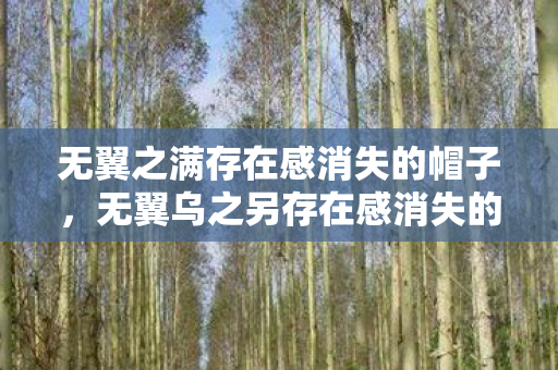 无翼之满存在感消失的帽子，无翼乌之另存在感消失的帽子