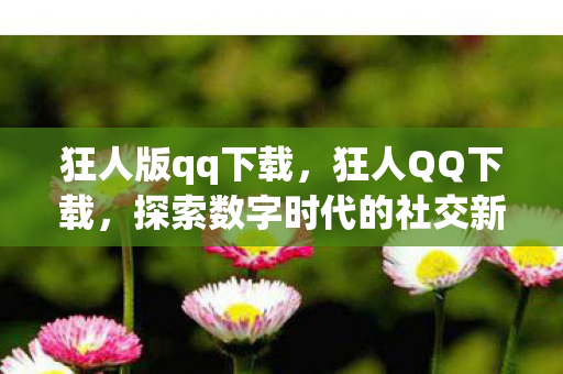狂人版qq下载，狂人QQ下载，探索数字时代的社交新体验