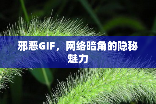 邪恶GIF,网络暗角的隐秘魅力 邪恶GIF,网络暗角的隐秘魅力
