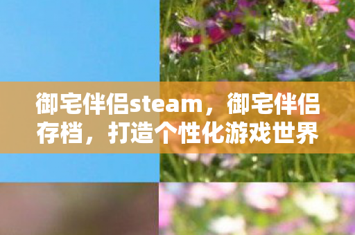 御宅伴侣steam，御宅伴侣存档，打造个性化游戏世界的秘密