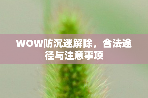 WOW防沉迷解除,合法途径与注意事项 WOW防沉迷解除,合法途径与注意事项