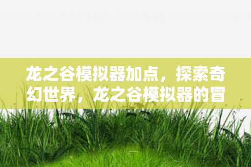 龙之谷模拟器加点，探索奇幻世界，龙之谷模拟器的冒险之旅