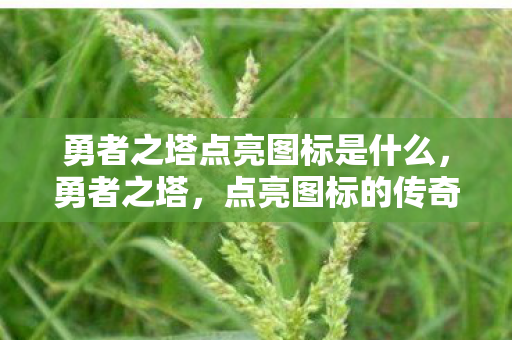 勇者之塔点亮图标是什么，勇者之塔，点亮图标的传奇之旅